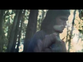 Oldwing – Seasons (Official Video) Slowed