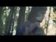 Oldwing – Seasons (Official Video) Slowed